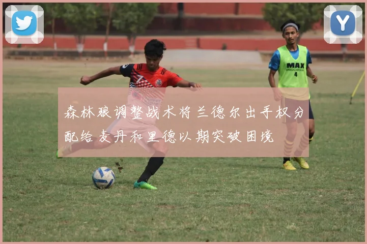 森林狼调整战术将兰德尔出手权分配给麦丹和里德以期突破困境