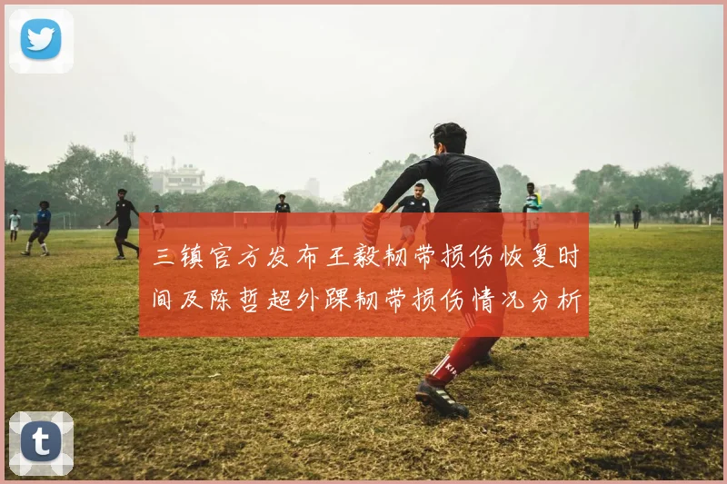 三镇官方发布王毅韧带损伤恢复时间及陈哲超外踝韧带损伤情况分析